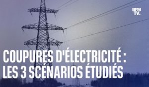 Coupures d'électricité: quels sont les trois scénarios étudiés par RTE pour cet hiver?