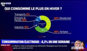 La baisse de la consommation française d'électricité "s'amplifie" avec - 8,3% sur une semaine