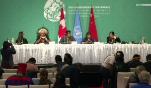COP sur la protection de la biodiversité :  le combat des peuples indigènes contre la déforestation