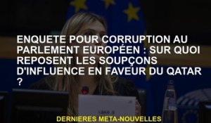 Enquête sur la corruption au Parlement européen: quelles sont les soupçons d'influence en faveur du