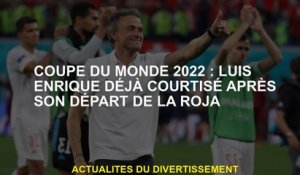 2022 Coupe du monde: Luis Enrique est déjà courtisé après son départ de La Roja