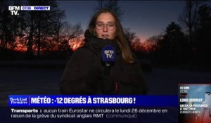 -12°C à Strasbourg: comment s'organise le salage des routes en Alsace?