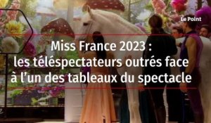 Miss France 2023 : les téléspectateurs outrés face à l’un des tableaux