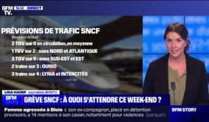 3 TGV sur 5 en moyenne ce week-end: les prévisions de trafic de la SNCF