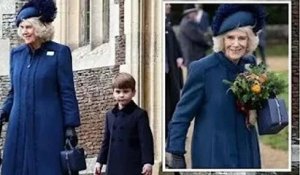 'Just adorable!' Fans savour moment Camilla shares 'warm' interaction with Louis