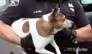 Un policier laisse un prisonnier faire ses adieux à son chien avant de partir en prison