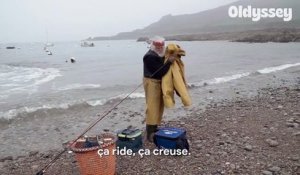 L'araignée de mer du pêcheur