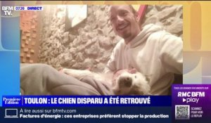 Milky, le chien disparu depuis plus de deux semaines à Toulon a été retrouvé