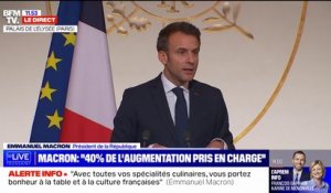 Emmanuel Macron: "Beaucoup de nos artisans ont autre chose à faire que d'aller chercher sur Internet des tableaux incompréhensibles"