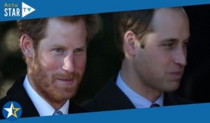 Harry lâché par son frère William la veille de son mariage : un enterrement de vie de garçon... gâch