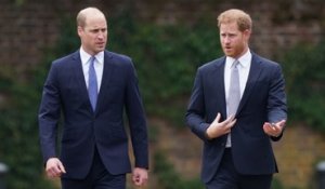 Le prince Harry ‘alarmé’ par la perte de cheveux de son frère William