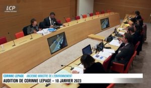 Audition à l'Assemblée nationale - Indépendance énergétique : audition choc de C.Lepage