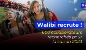 Walibi à la recherche de 600 saisonniers et étudiants pour 2023