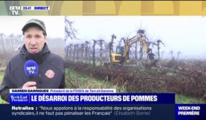 Opération d'arrachages de pommiers dans le Tarn-et-Garonne pour réclamer une hausse du prix de vente de 20 centimes par kilo