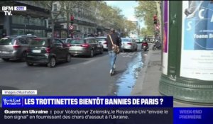 Pour ou contre les trottinettes en ville? La Mairie de Paris va organiser une votation pour trancher la question