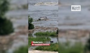 Après la destruction du barrage de Kakhovka, les Ukrainiens fuient