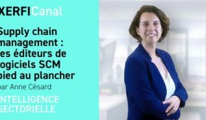 Supply chain management : les éditeurs de logiciels SCM pied au plancher [Anne Césard]