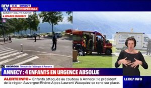 "Des mamans en pleurs, les gens paniquaient": un témoin de l'attaque au couteau à Annecy évoque le drame