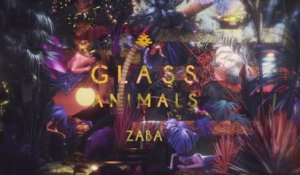 Glass Animals - Walla Walla (Visualiser)