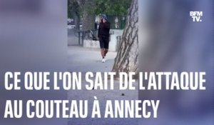 Annecy: ce que l'on sait de l'attaque au couteau dans un parc