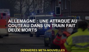 Allemagne: Une attaque au couteau dans un train a laissé deux morts