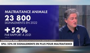 Christophe Marie :«Il y a une escalade de la maltraitance animale» dans #MidiNews