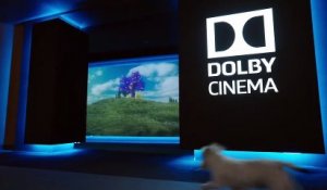 Astérix et Obélix : L'Empire du milieu SPOT "L'expérience Dolby Cinema"