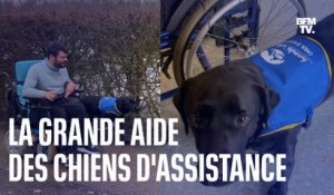 Voici comment des chiens d’assistance viennent en aide aux personnes en situation de handicap