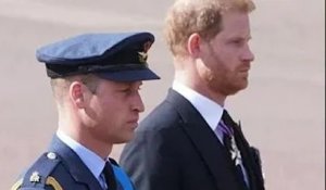 Le prince Harry sait que le prince William "a plus à perdre" alors que l'invitation au couronnement