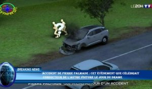 Accident de Pierre Palmade : cet événement que célébrait  conducteur de l'autre voiture le jour du d