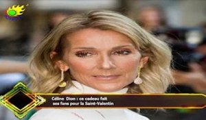 Céline Dion : ce cadeau fait  ses fans pour la Saint-Valentin