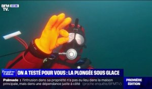 Dans une eau à 2°C, on a testé pour vous... la plongée sous glace