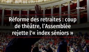 Réforme des retraites : coup de théâtre, l’Assemblée rejette l'« index séniors »