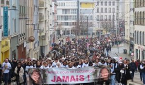 Marche blanche pour Héléna Cluyou à Brest : des milliers de personnes lui ont rendu hommage