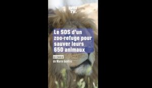 Le SOS d'un zoo-refuge en Eure-et-Loir pour sauver ses 650 animaux