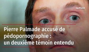 Pierre Palmade accusé de pédopornographie : un deuxième témoin entendu