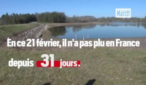 Sécheresse : il n'a pas plu depuis 31 jours en France