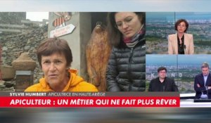 Sylvie Humbert, apicultrice en Haute-Ariège : «On se bat pour renouveler notre cheptel»