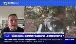 Arrosage, choix de végétation... Le maire de Saint-Raphaël évoque les mesures en place pour faire face à la sécheresse