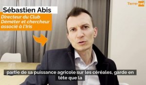 Interview de Sébastien Abis, directeur du club Déméter, chercheur associé à l'Iris : quels enjeux français et européens sur les marchés céréaliers mondiaux ?