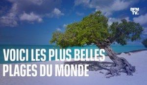 Voici le classement des plus belles plages du monde en 2023 !