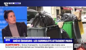 Rats dans Paris: "Les méthodes létales ne servent à rien" selon la conseillère de Paris, Douchka Mira Markovic