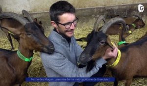 Reportage - Ferme des Maquis : première ferme métropolitaine de Grenoble !