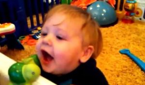 FUNNY VIDEOS  Funny Baby   Funny Moments Compilation   Funny Laughing Baby   Funny Babies Videos