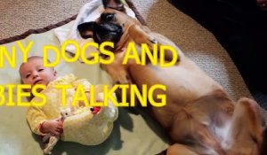 Funny dogs and babies talking Cute dog & baby compilation LOL Viral Videos 7