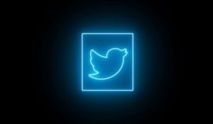 Twitter lance une action en justice après la fuite de son code source