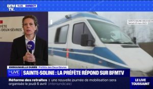 "C'est une insulte":  la préfète des Deux-Sèvres affirme qu'il "n'y a pas eu des défaillance des services de secours" à Sainte-Soline