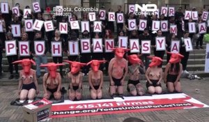NoCom : manifestation anti-corrida à Bogota