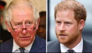 Le roi Charles et le prince William n'ont "pas l'intention d'accueillir chaleureusement Harry"