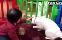 Funny video -  Funny Animal  - Funny babies Compilation 2015